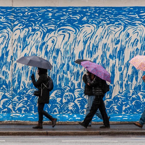 王雨纯精选编辑部主编在书架前翻查资料的侧影，手边堆着贴满便签的文件夹，窗外午后光线柔和