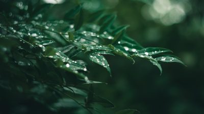 王雨纯饰演古装女配角，宫廷场景，清冷眼神，青绿色宫装造型，画面古典唯美