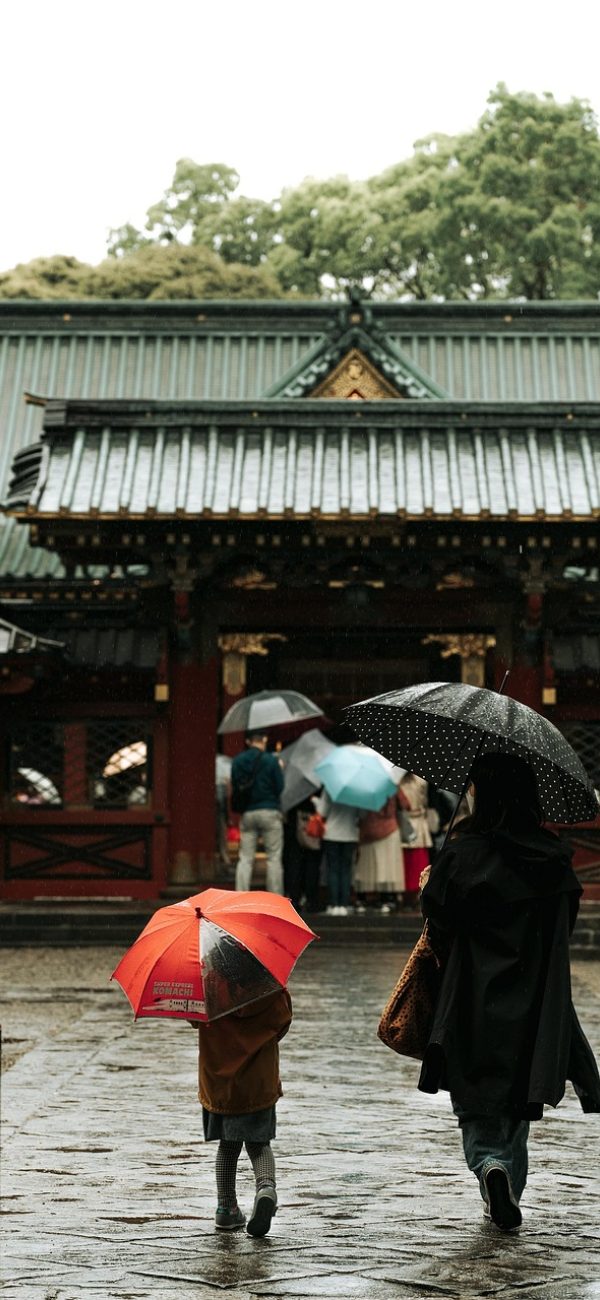 王雨纯 App 设置页面截图示意，包含深色模式开关、正文字号五档调节、默认画质与省流模式选项